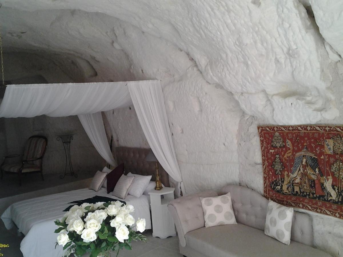 Bed and Breakfast Le Manoir Des Roches Bourré Exterior foto