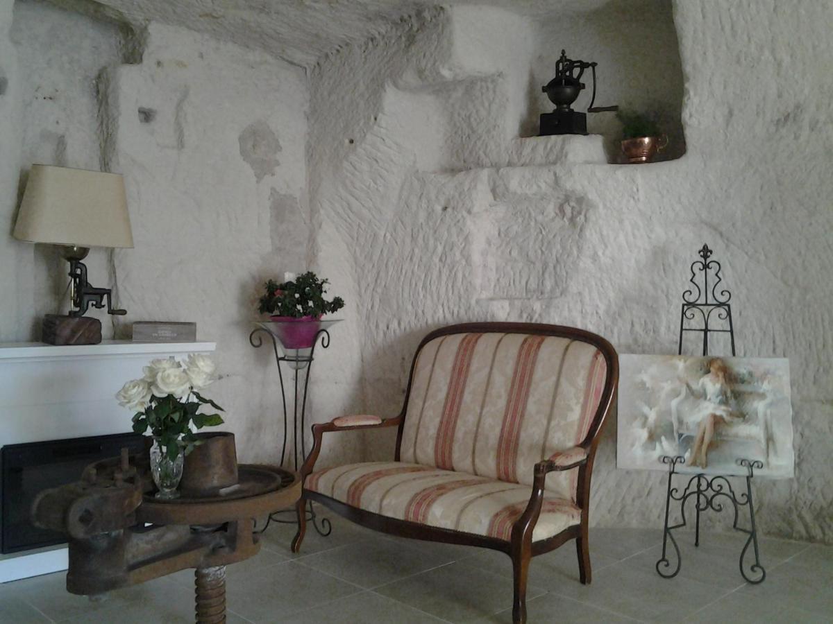 Bed and Breakfast Le Manoir Des Roches Bourré Exterior foto