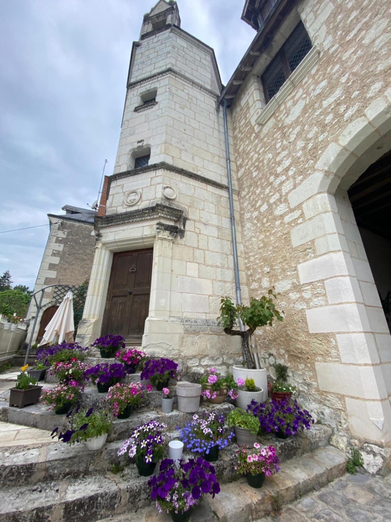 Bed and Breakfast Le Manoir Des Roches Bourré Exterior foto